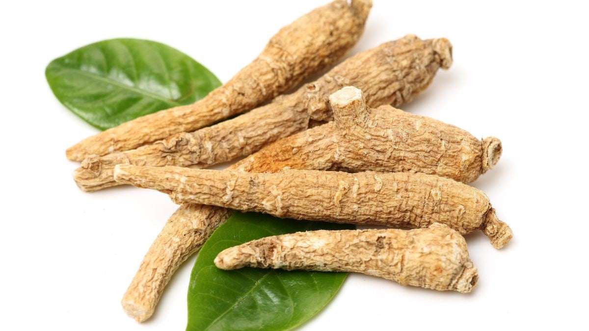 5 Great Reasons to Add Ginseng to Your Health Protocol