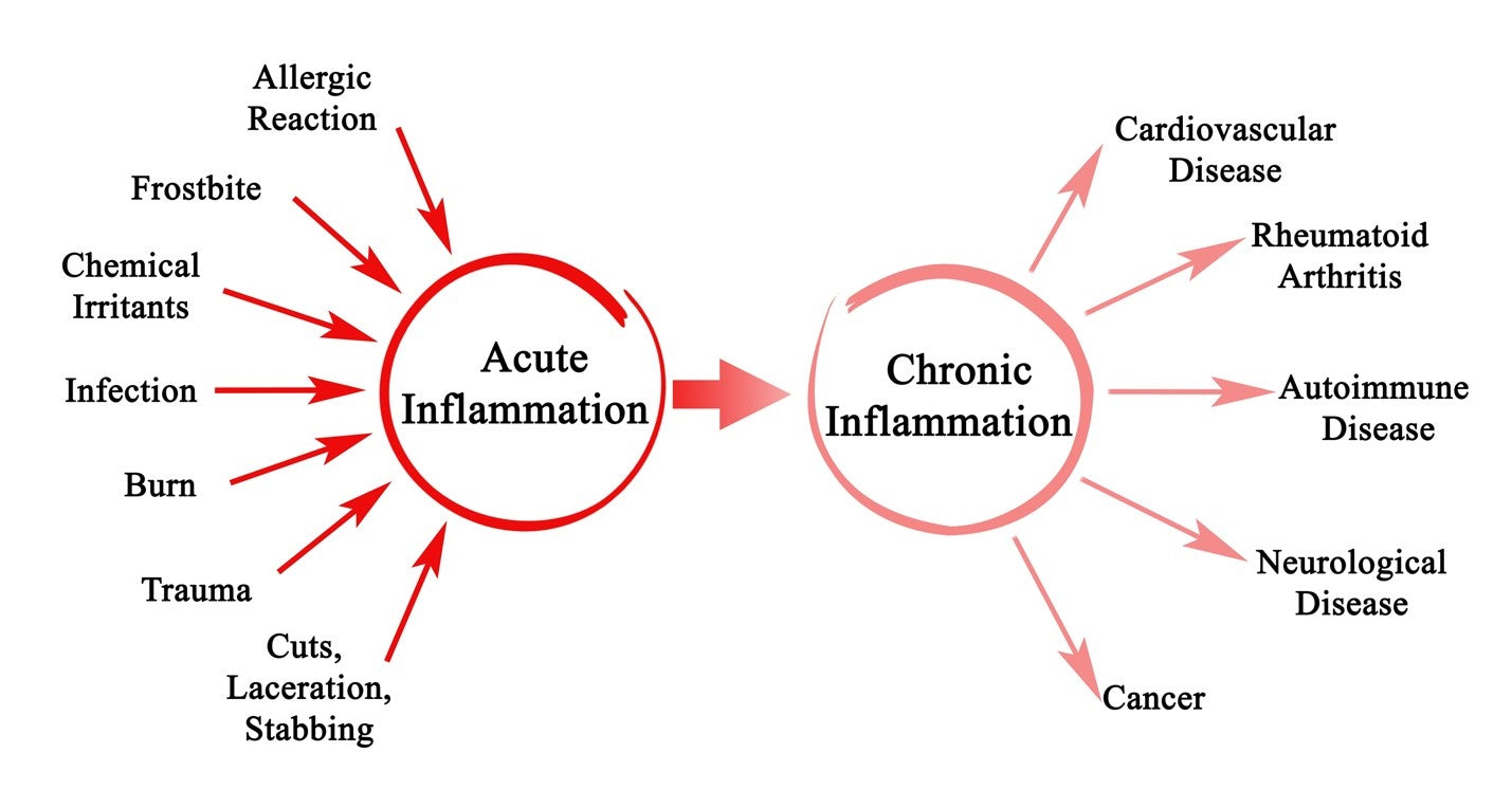 Solving the Problem of Chronic Inflammation