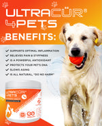 UltraCur® 4Pets™ - Curcumin for Dogs and Cats!
